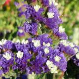 1201S 09 Schloss Neuhaus Aug 03